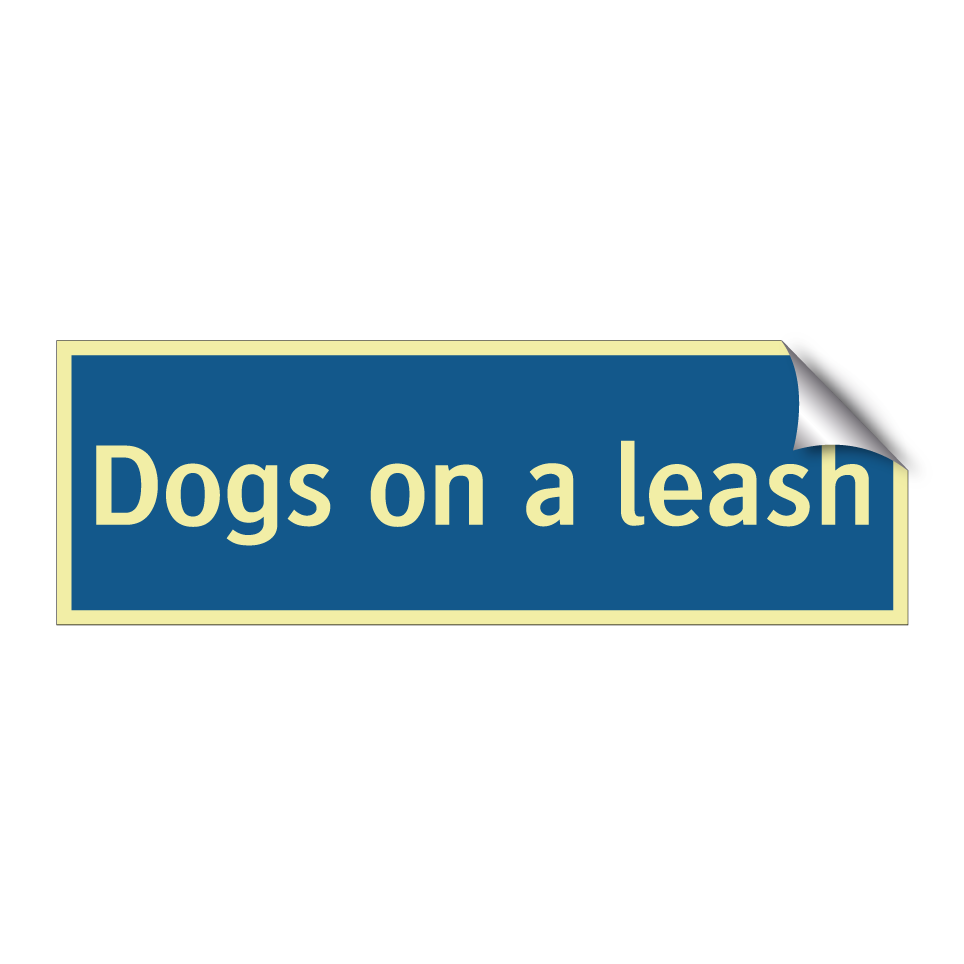 Dogs on a leash