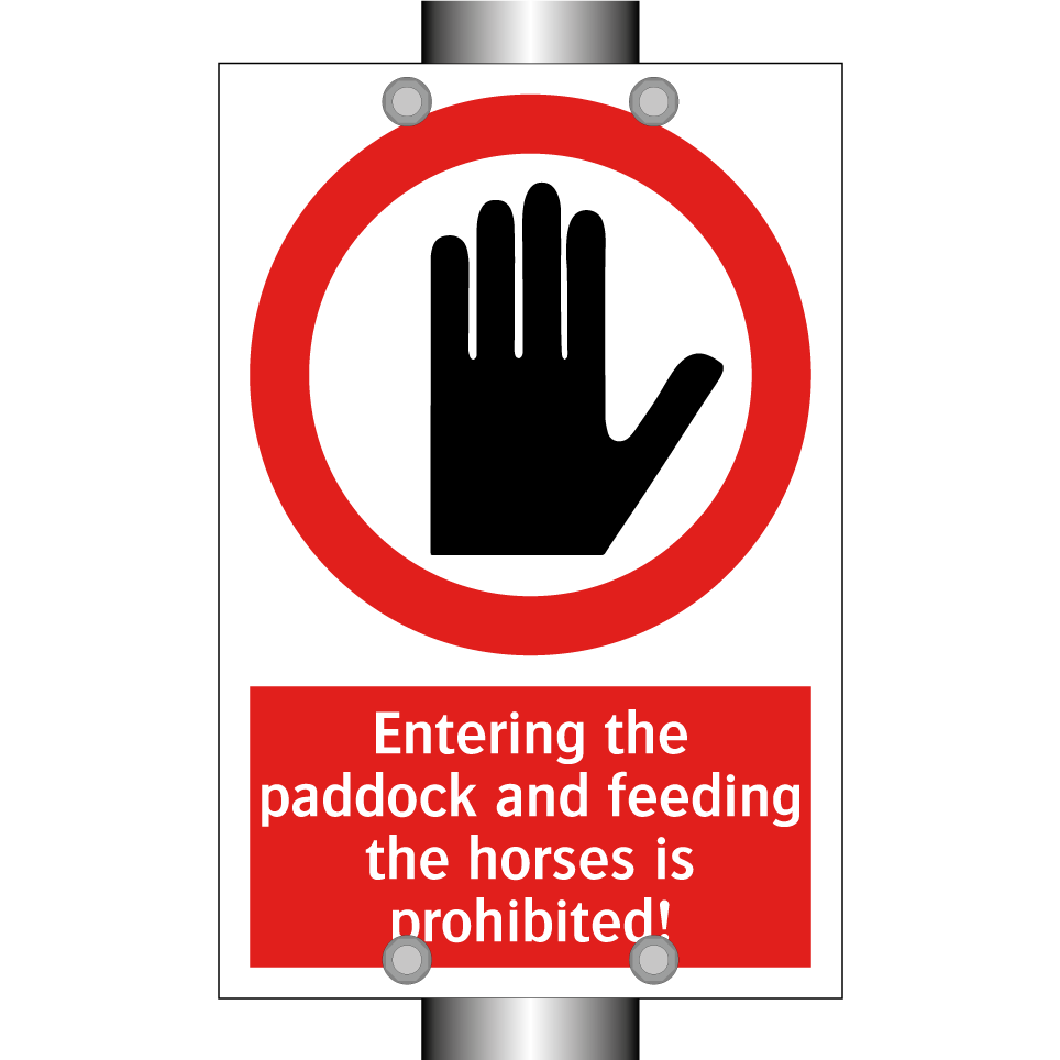 Entering the paddock and feeding the horses is prohibited!