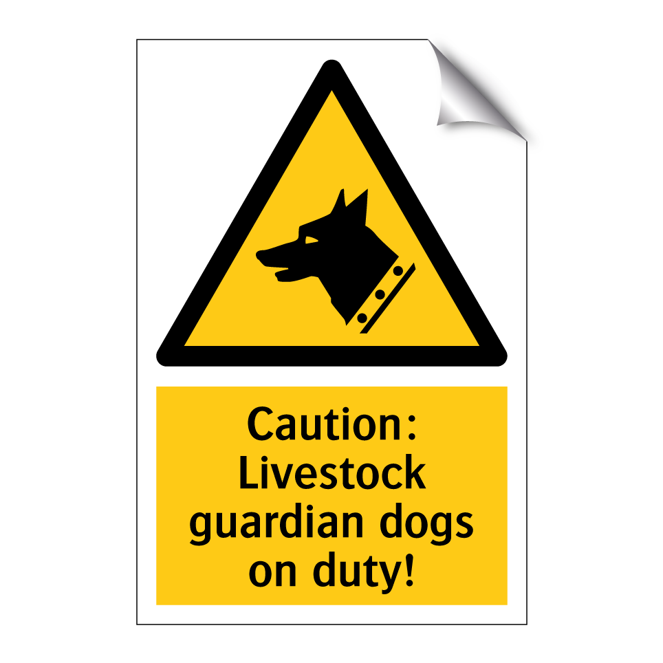 Caution: Livestock guardian dogs on duty!