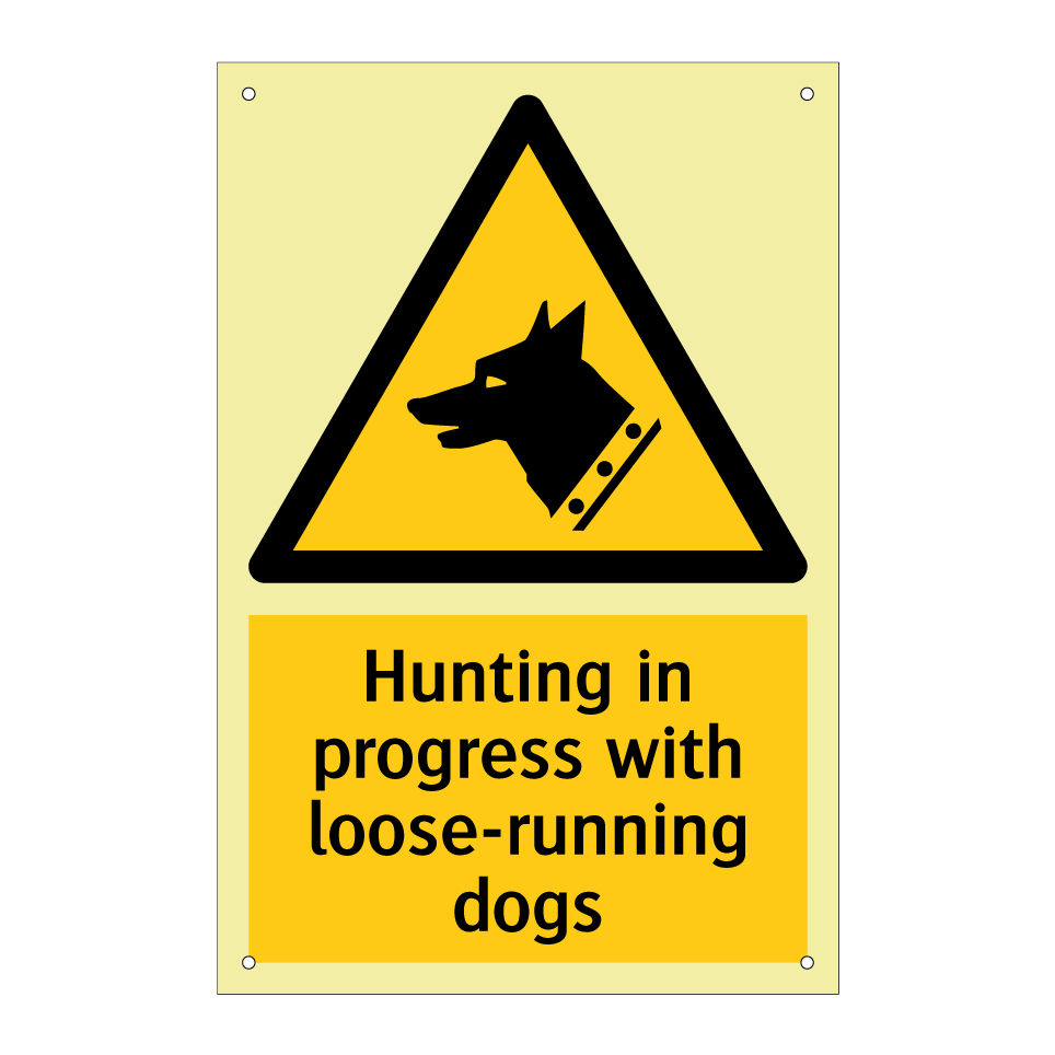 Hunting in progress with loose-running dogs