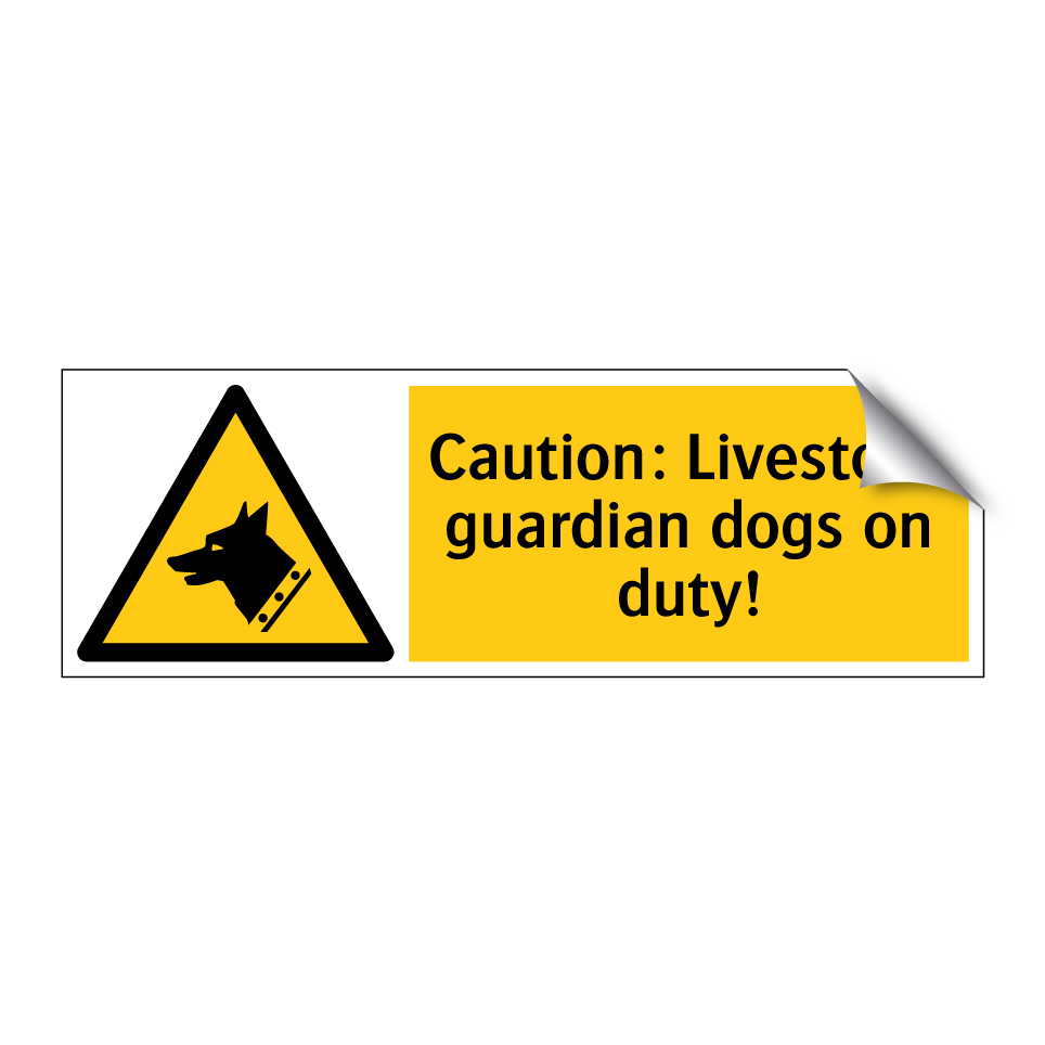 Caution: Livestock guardian dogs on duty!