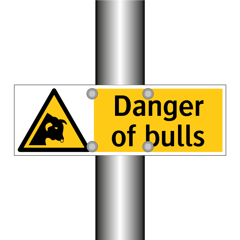 Danger of bulls