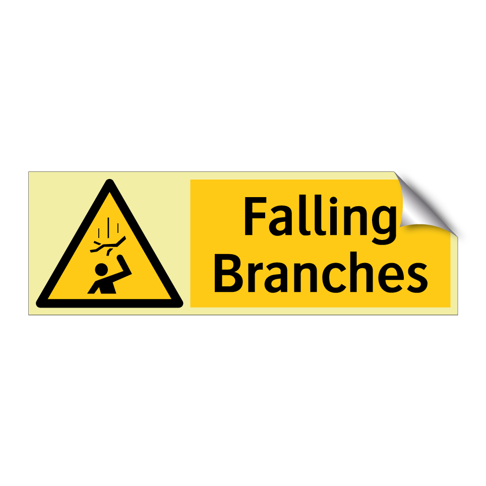 Falling Branches