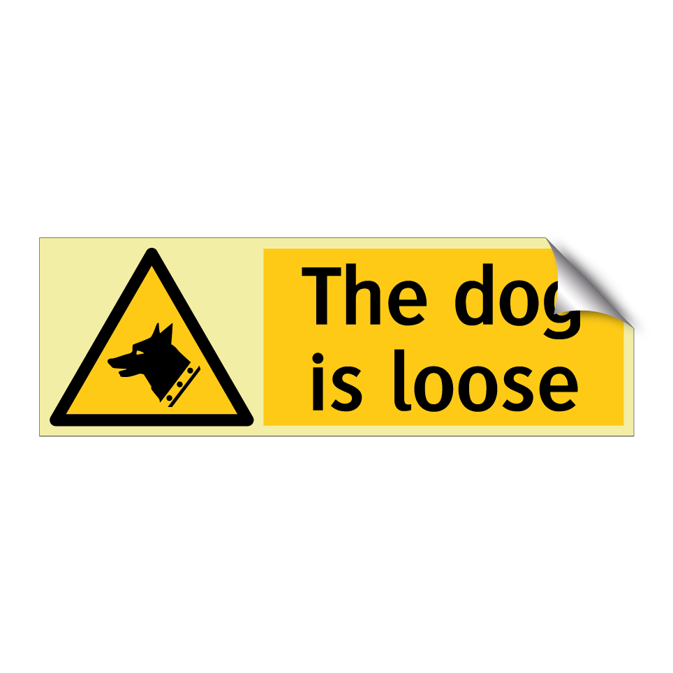 The dog is loose