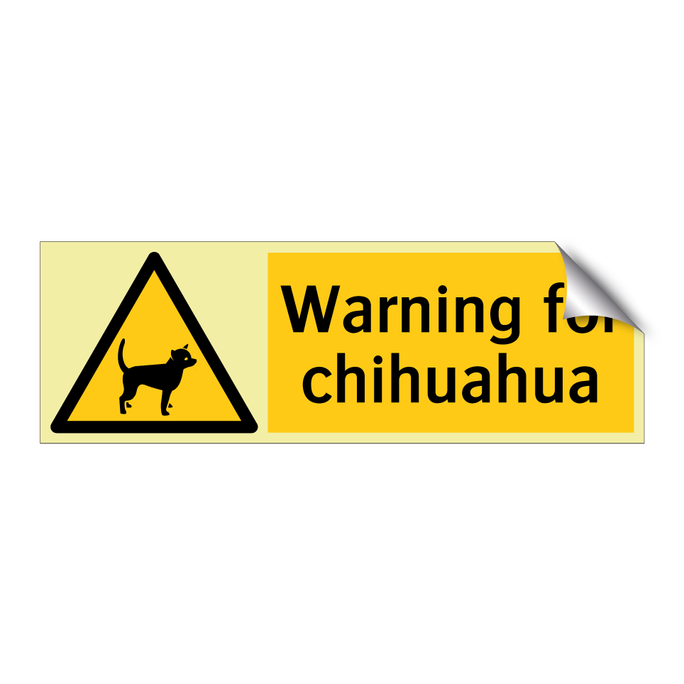 Warning for chihuahua